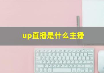 up直播是什么主播