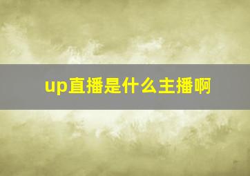 up直播是什么主播啊