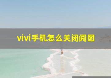 vivi手机怎么关闭阅图