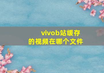 vivob站缓存的视频在哪个文件