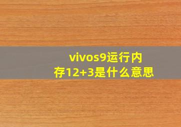 vivos9运行内存12+3是什么意思