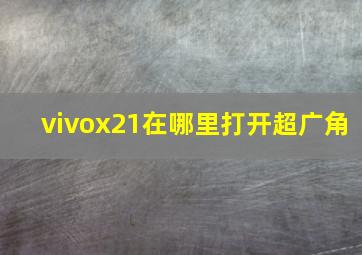 vivox21在哪里打开超广角