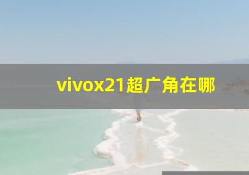 vivox21超广角在哪