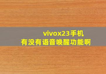 vivox23手机有没有语音唤醒功能啊