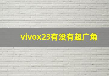 vivox23有没有超广角