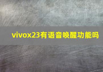 vivox23有语音唤醒功能吗