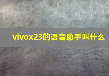 vivox23的语音助手叫什么