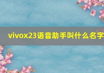 vivox23语音助手叫什么名字