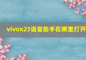 vivox23语音助手在哪里打开