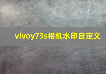 vivoy73s相机水印自定义