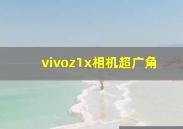 vivoz1x相机超广角