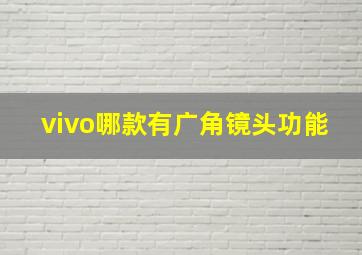 vivo哪款有广角镜头功能