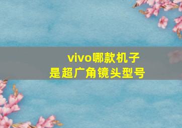 vivo哪款机子是超广角镜头型号