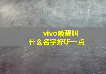 vivo唤醒叫什么名字好听一点