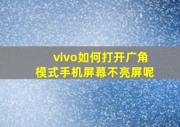 vivo如何打开广角模式手机屏幕不亮屏呢