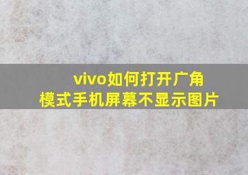 vivo如何打开广角模式手机屏幕不显示图片