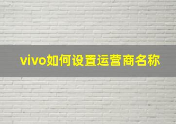 vivo如何设置运营商名称