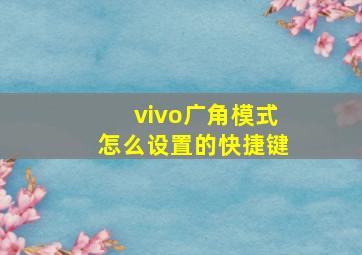 vivo广角模式怎么设置的快捷键