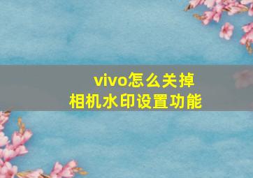 vivo怎么关掉相机水印设置功能