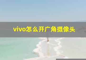 vivo怎么开广角摄像头