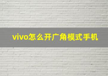 vivo怎么开广角模式手机