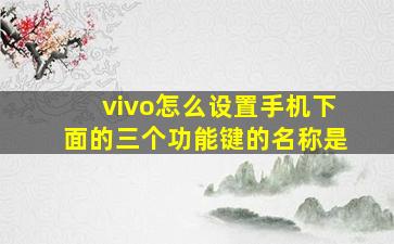 vivo怎么设置手机下面的三个功能键的名称是