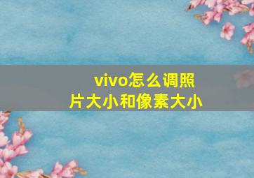 vivo怎么调照片大小和像素大小