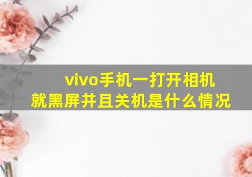 vivo手机一打开相机就黑屏并且关机是什么情况