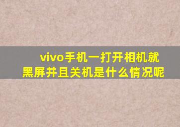 vivo手机一打开相机就黑屏并且关机是什么情况呢