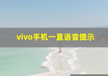 vivo手机一直语音提示