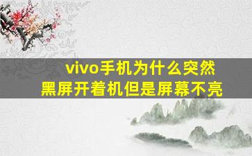 vivo手机为什么突然黑屏开着机但是屏幕不亮