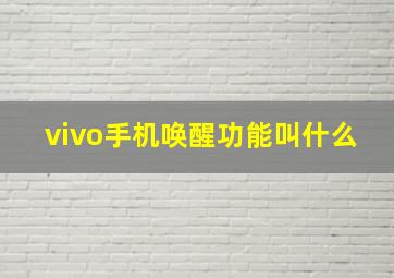 vivo手机唤醒功能叫什么