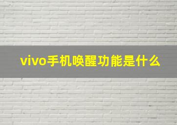 vivo手机唤醒功能是什么