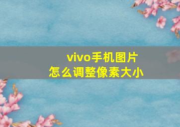 vivo手机图片怎么调整像素大小