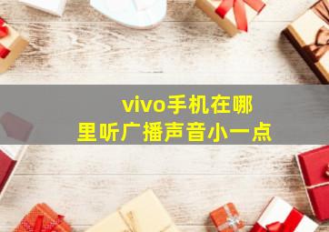 vivo手机在哪里听广播声音小一点