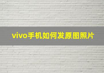 vivo手机如何发原图照片