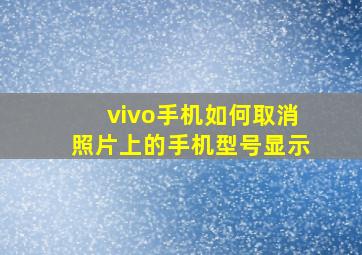 vivo手机如何取消照片上的手机型号显示