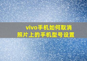 vivo手机如何取消照片上的手机型号设置