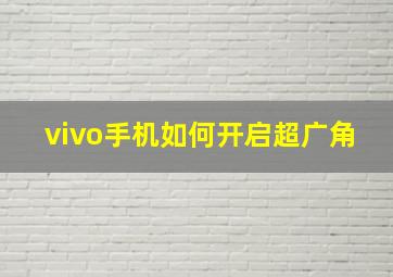 vivo手机如何开启超广角