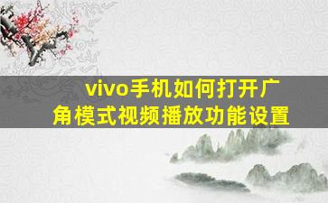 vivo手机如何打开广角模式视频播放功能设置