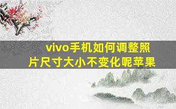 vivo手机如何调整照片尺寸大小不变化呢苹果