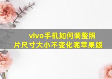 vivo手机如何调整照片尺寸大小不变化呢苹果版