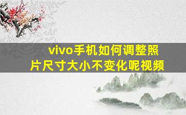 vivo手机如何调整照片尺寸大小不变化呢视频