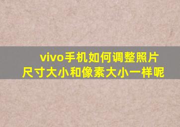 vivo手机如何调整照片尺寸大小和像素大小一样呢