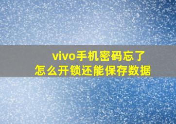 vivo手机密码忘了怎么开锁还能保存数据