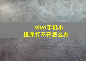 vivo手机小程序打不开怎么办