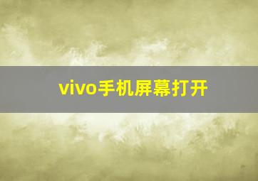 vivo手机屏幕打开