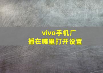 vivo手机广播在哪里打开设置