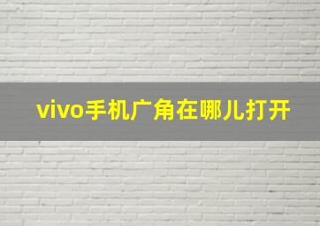 vivo手机广角在哪儿打开