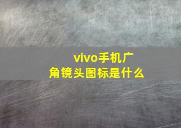 vivo手机广角镜头图标是什么